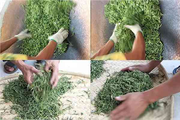 云南原生態雨林古樹普洱茶專賣店官網 袋裝茶的極佳選擇