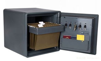 防水保險(xiǎn)柜品牌介紹與購(gòu)買技巧